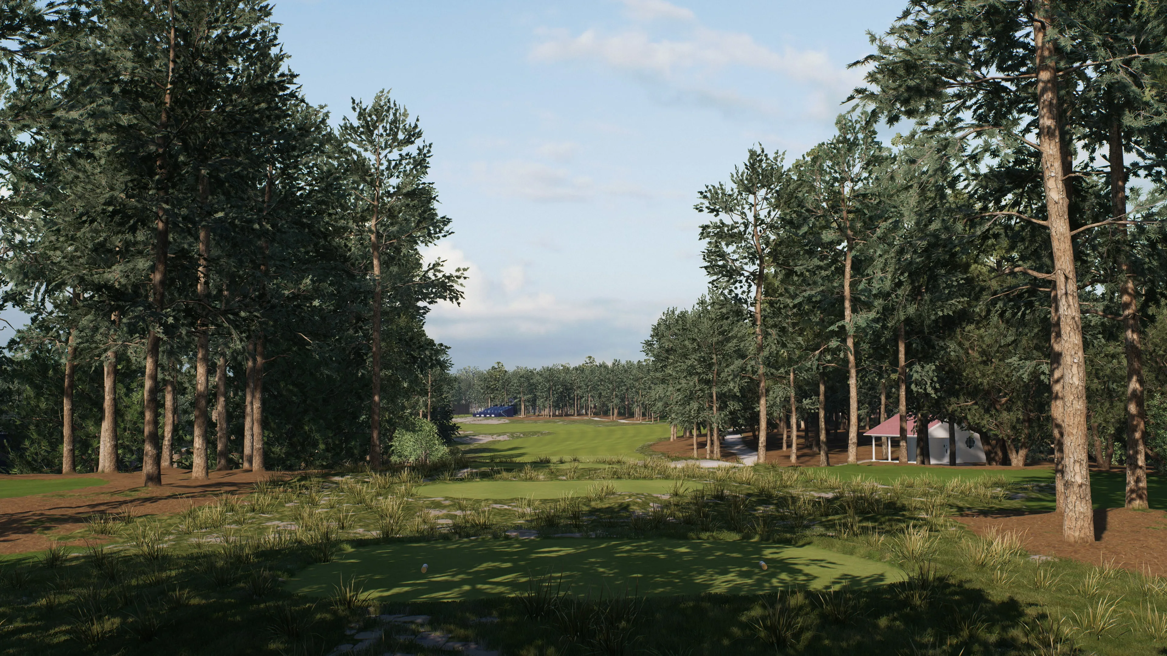 EA SPORTS PGA TOUR Deluxe Edition [PS5] - изображение 4