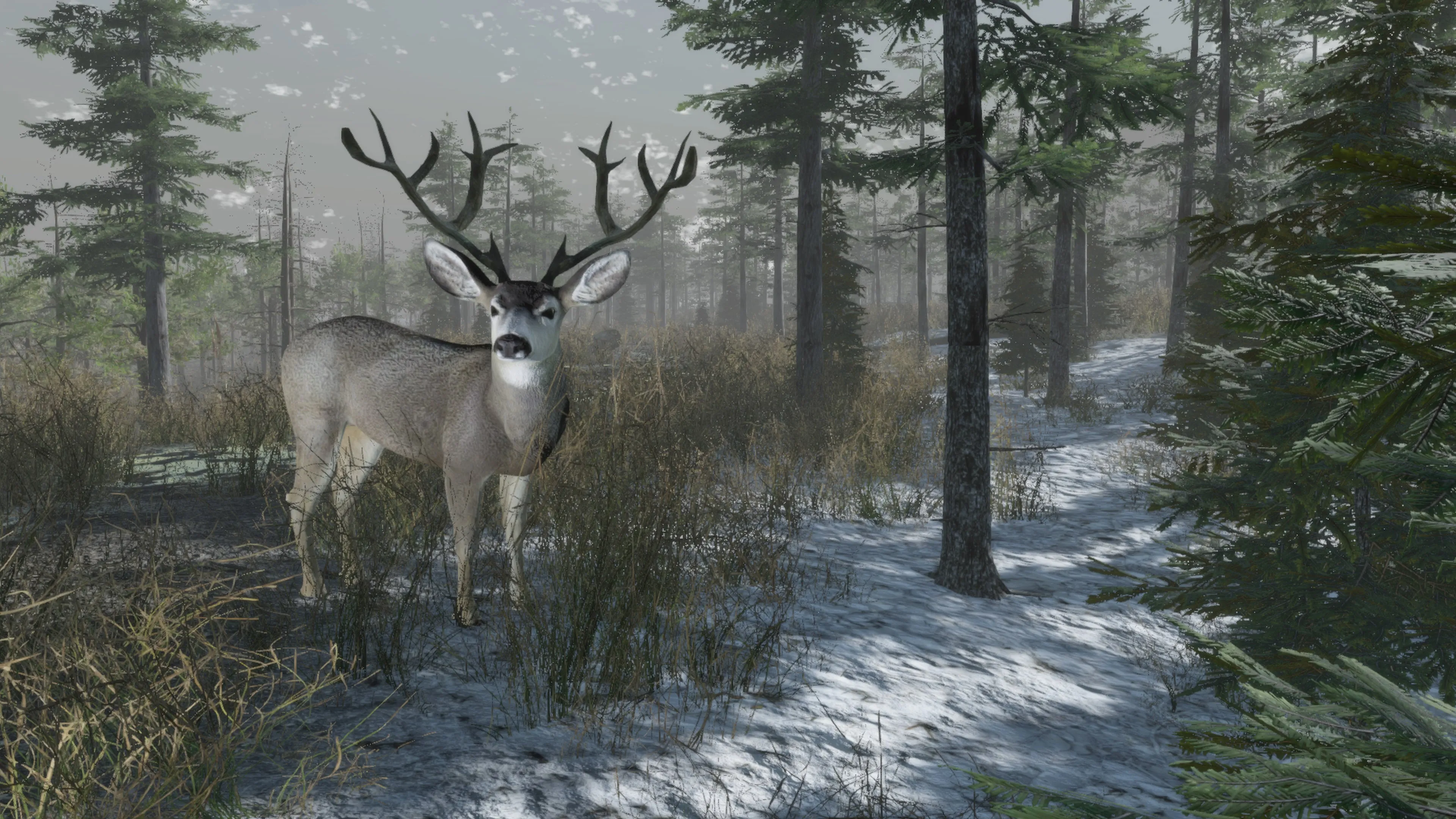 Pro Deer Hunting Out West [PS4] - изображение 4