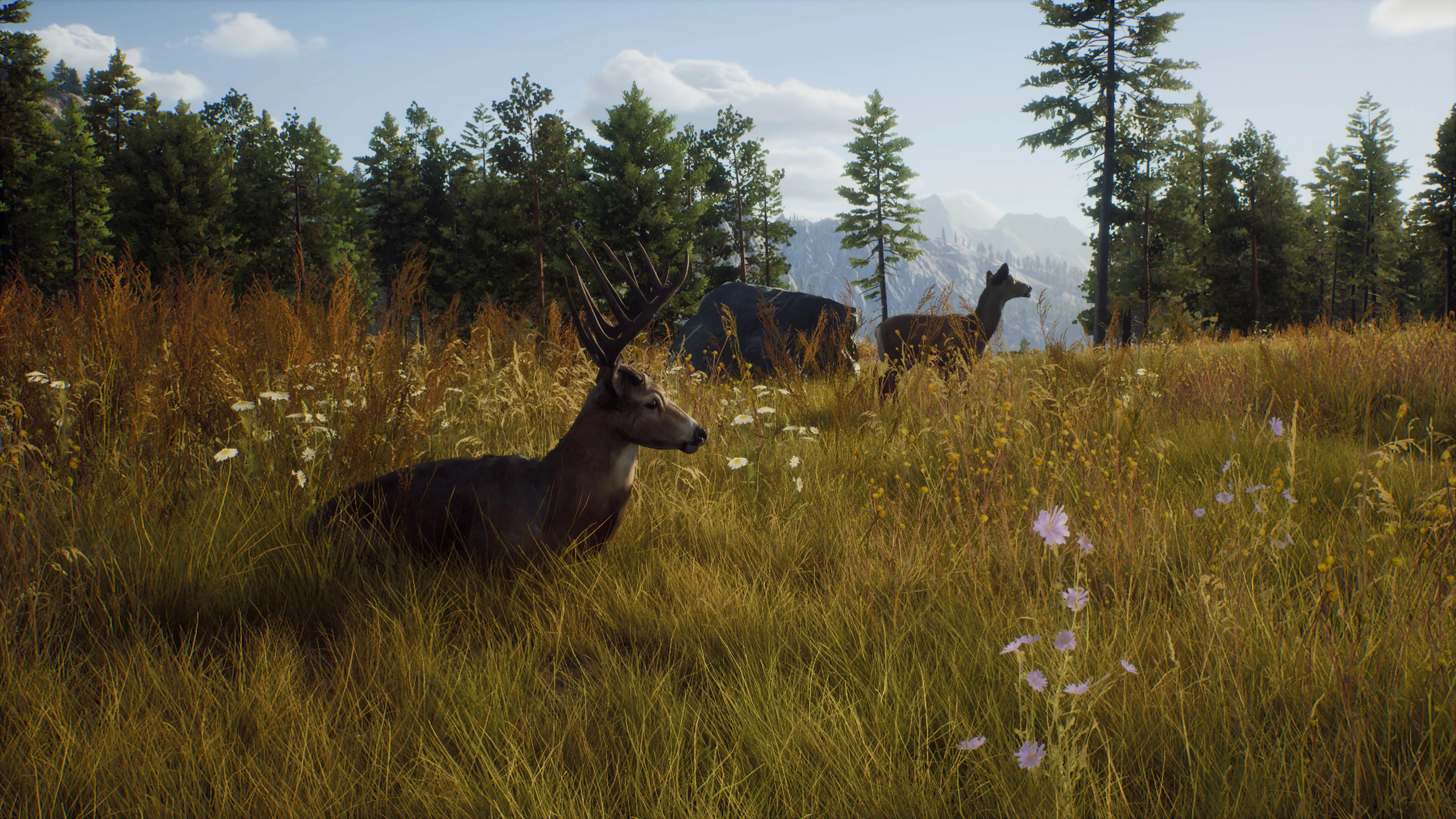 Way of the Hunter: Elite Edition [PS5] - изображение 2