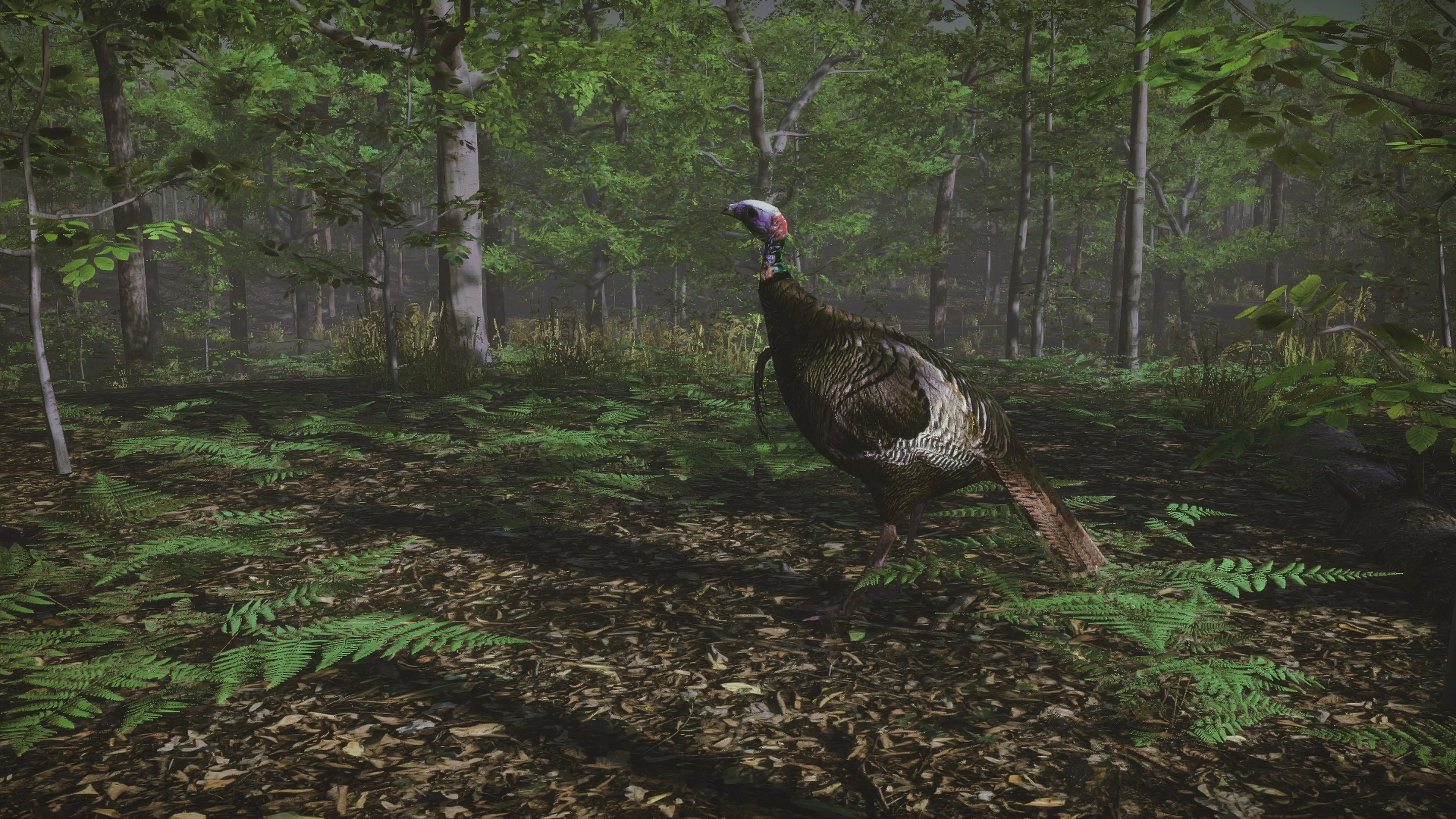 Pro Turkey Hunting [PS5] - изображение 2