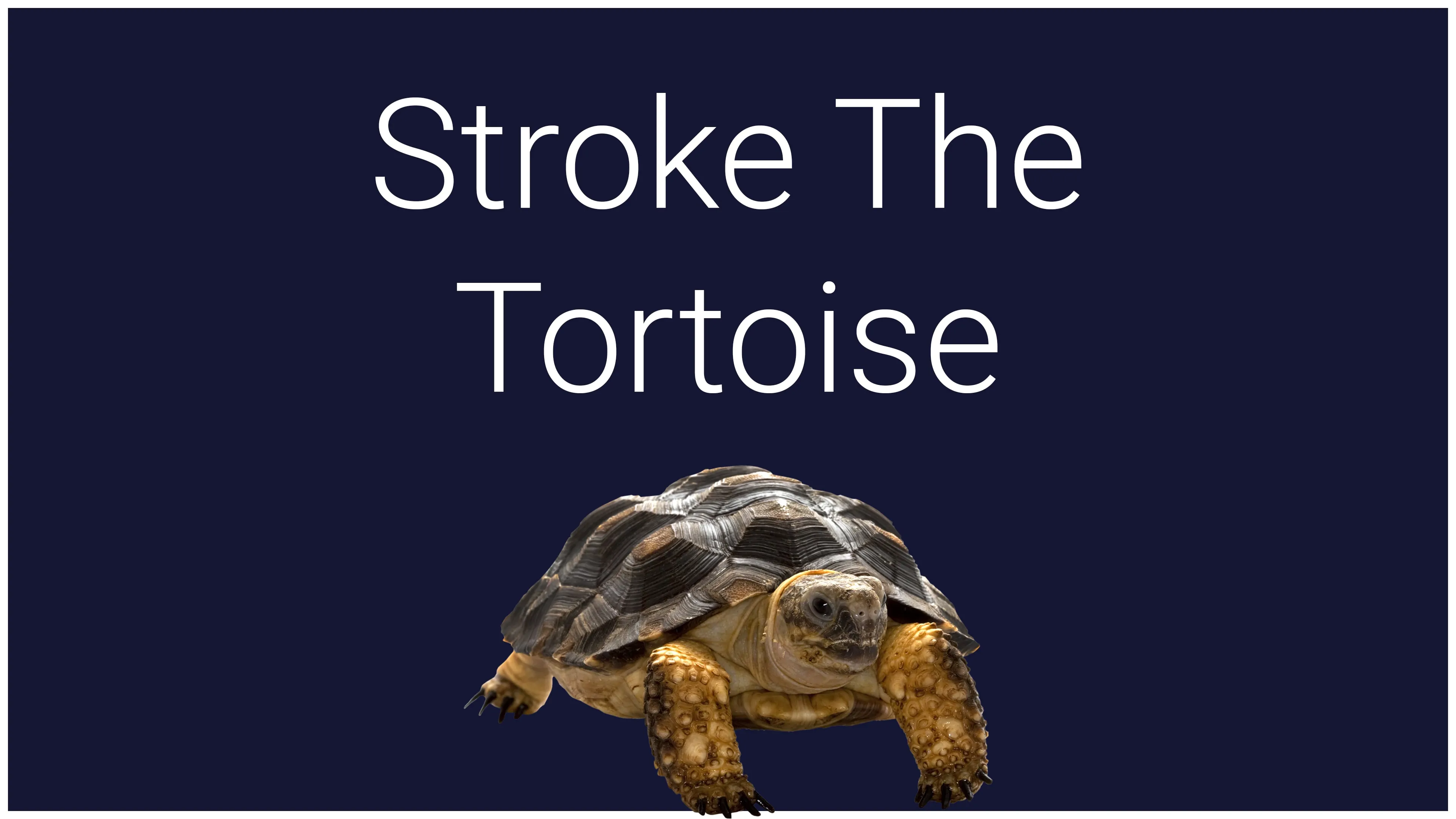 Stroke The Tortoise [PS4] - изображение 2
