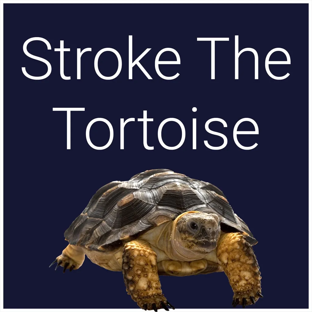Stroke The Tortoise [PS4] cover