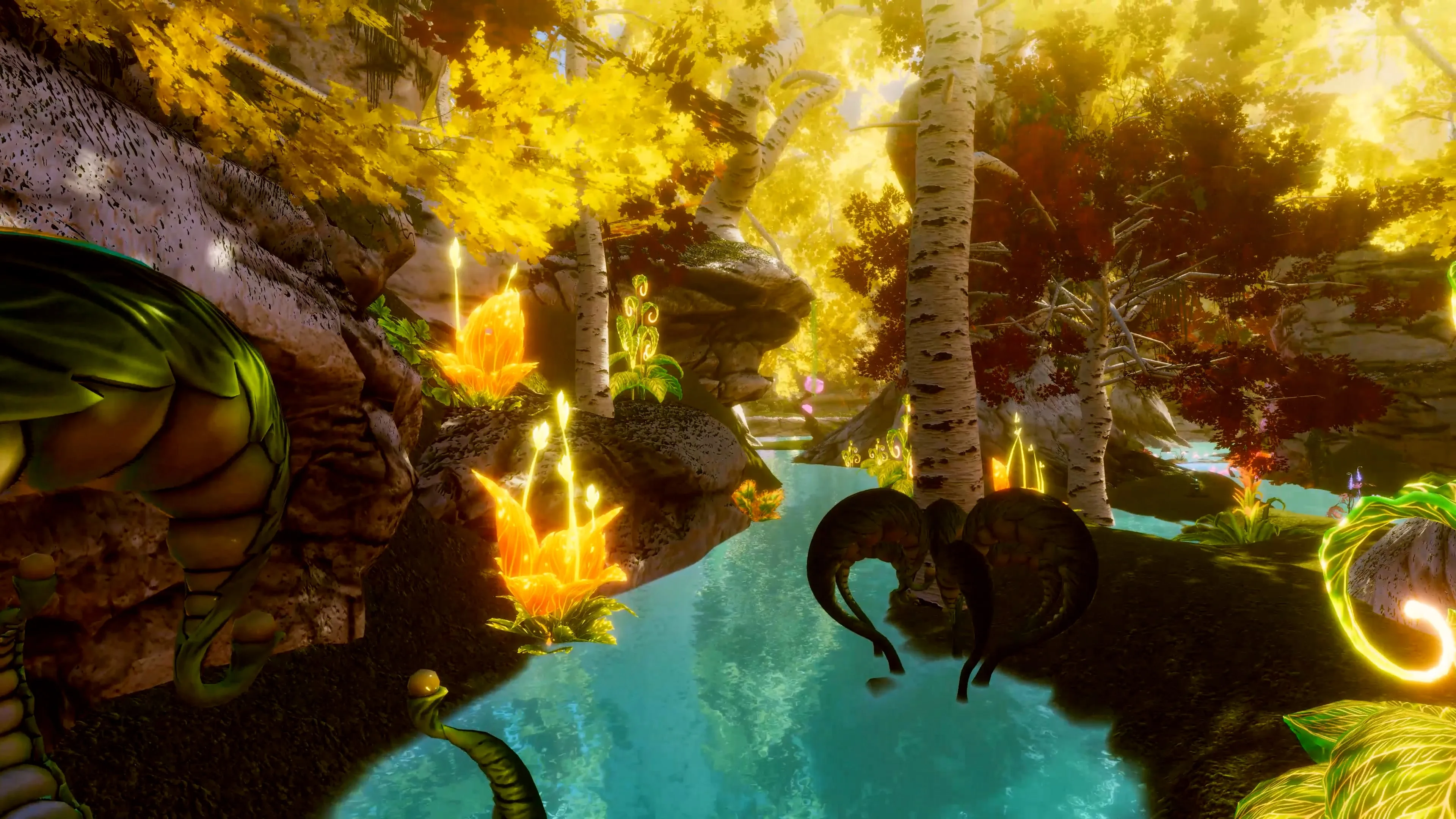 Worlds of Wonder VR Bundle [PS5]