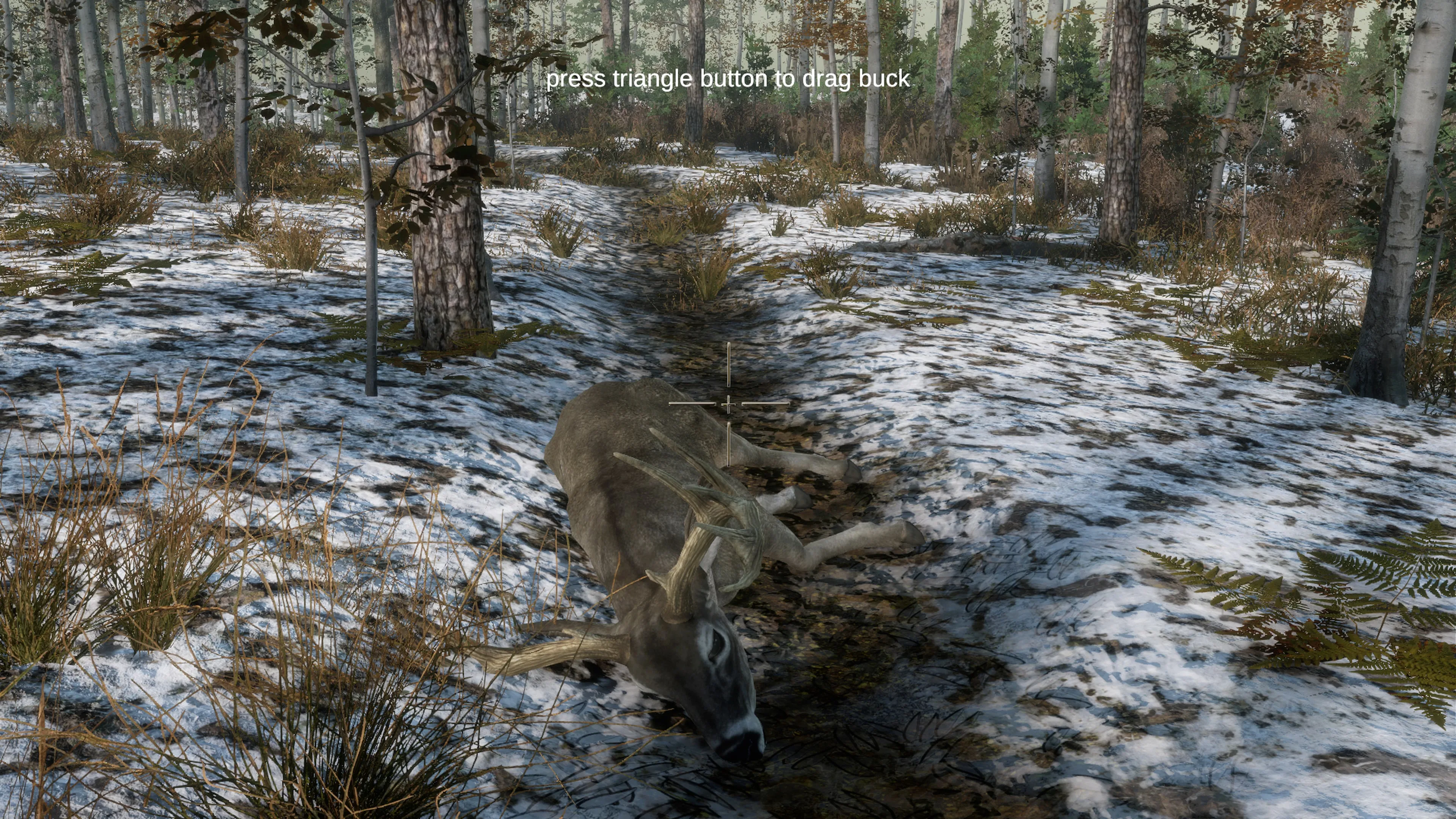 Deer Hunting Camp [PS4] - изображение 3