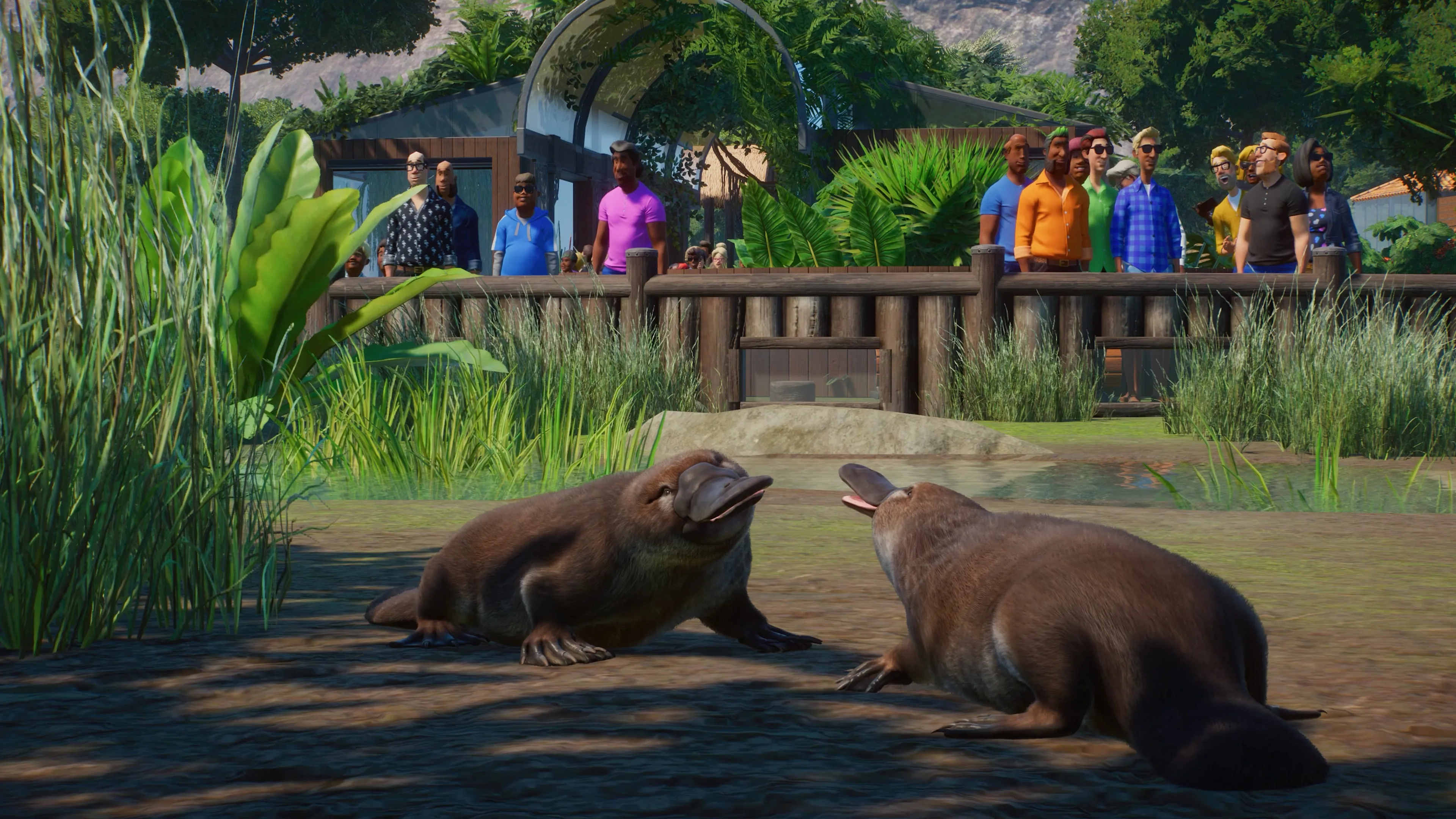 Planet Zoo: Deluxe Edition [PS5] - изображение 3