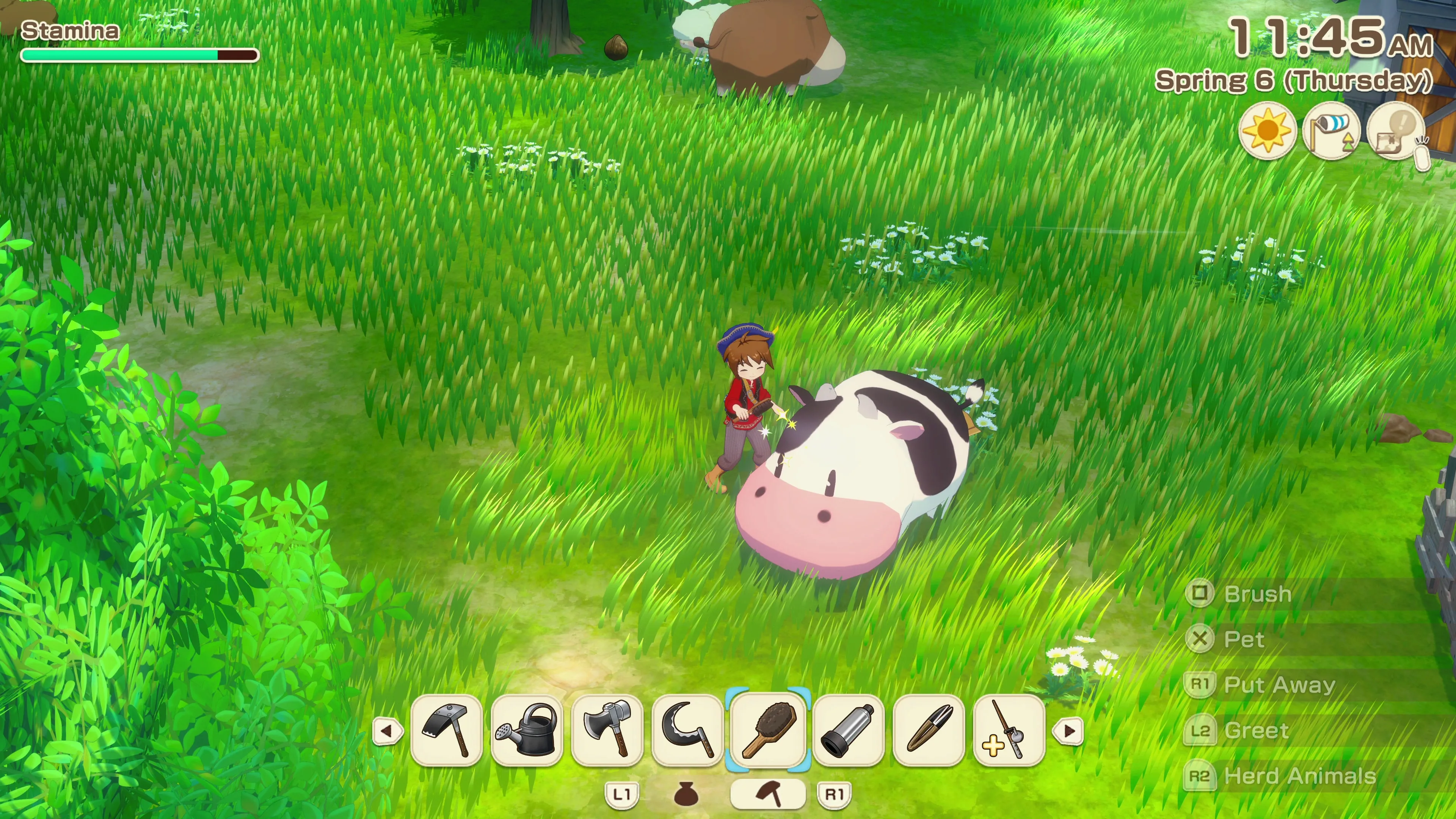 Story of Seasons: Grand Bazaar [PS5] - изображение 2