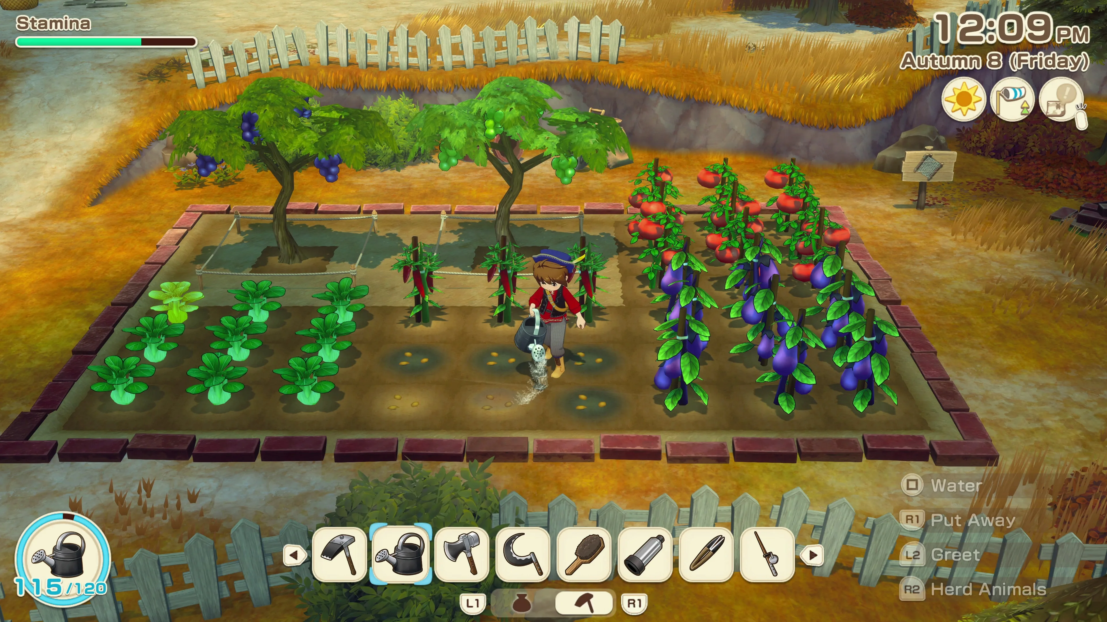 Story of Seasons: Grand Bazaar [PS5] - изображение 3