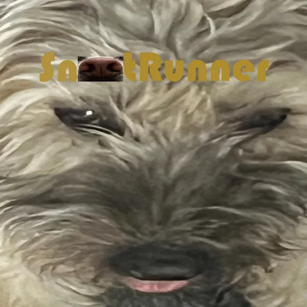 Snoot Runner [PS5]