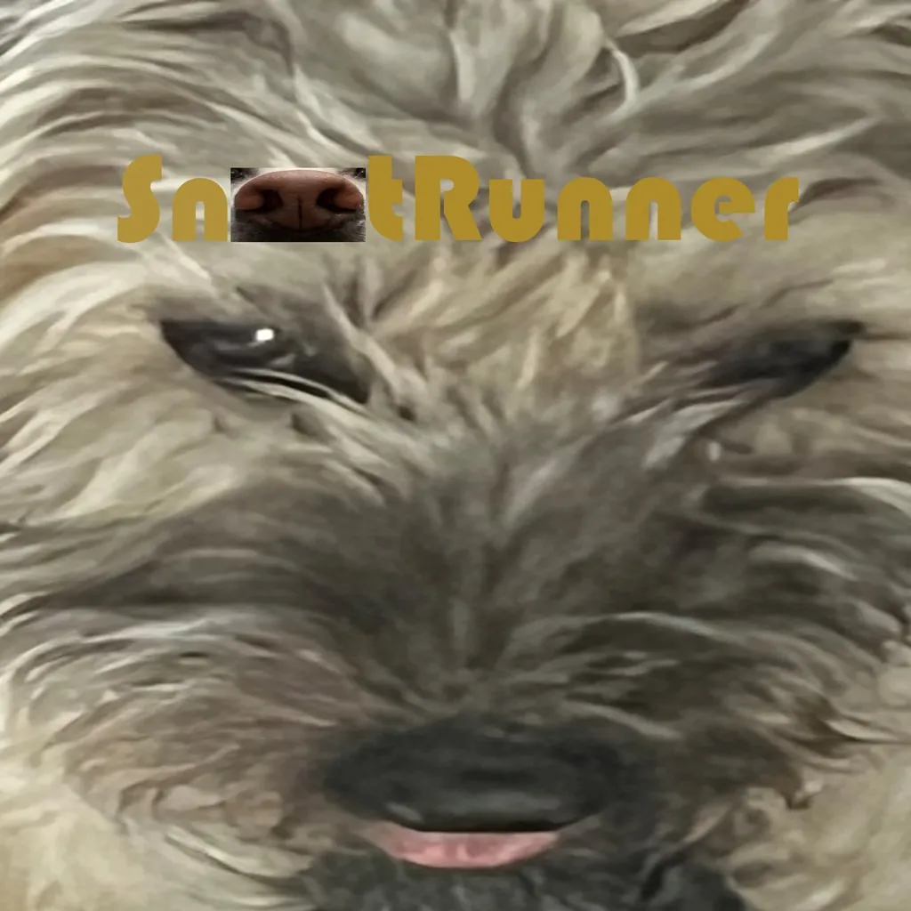 Snoot Runner [PS5] - изображение 1