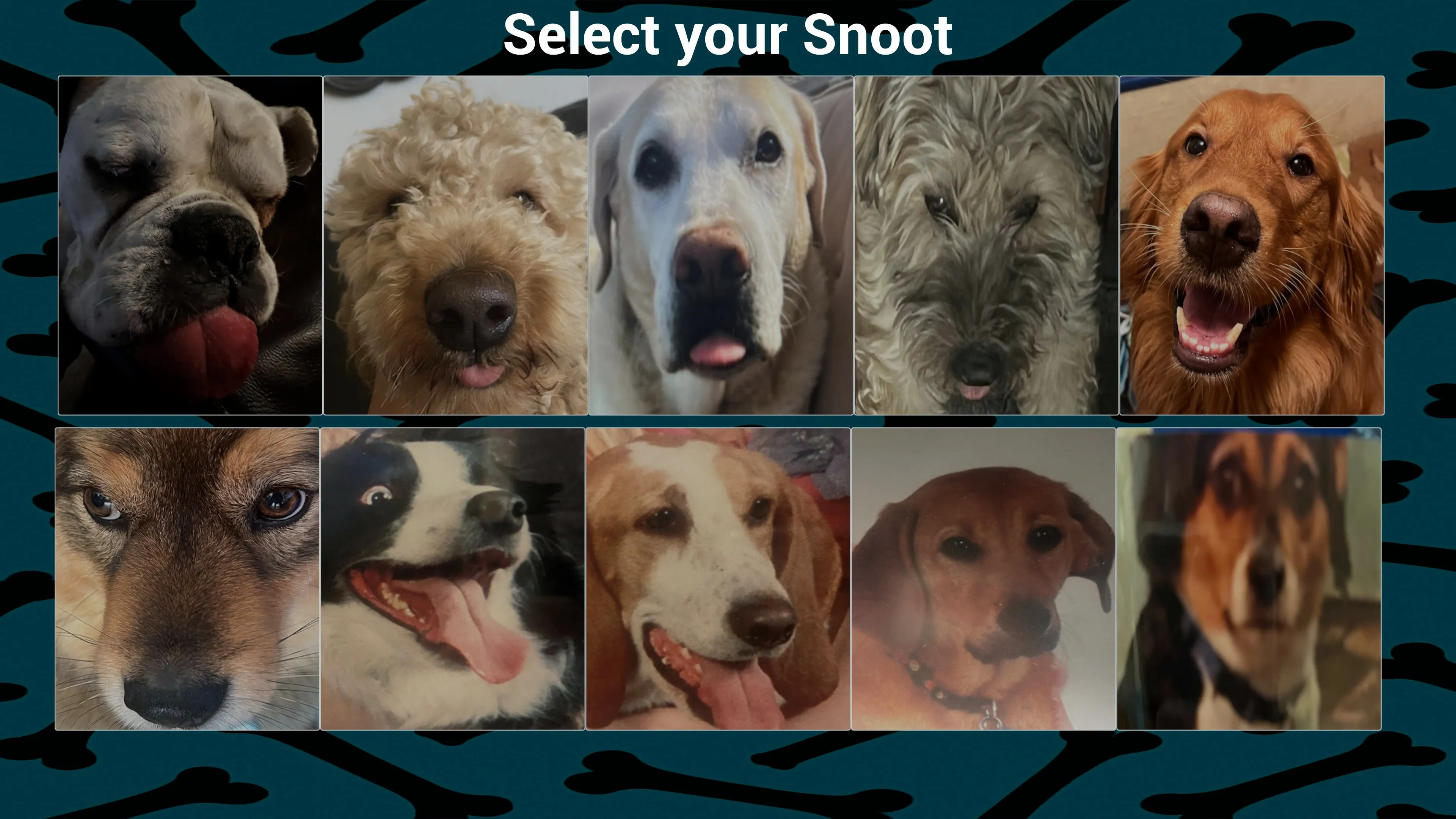 Snoot Booper [PS5] - изображение 2