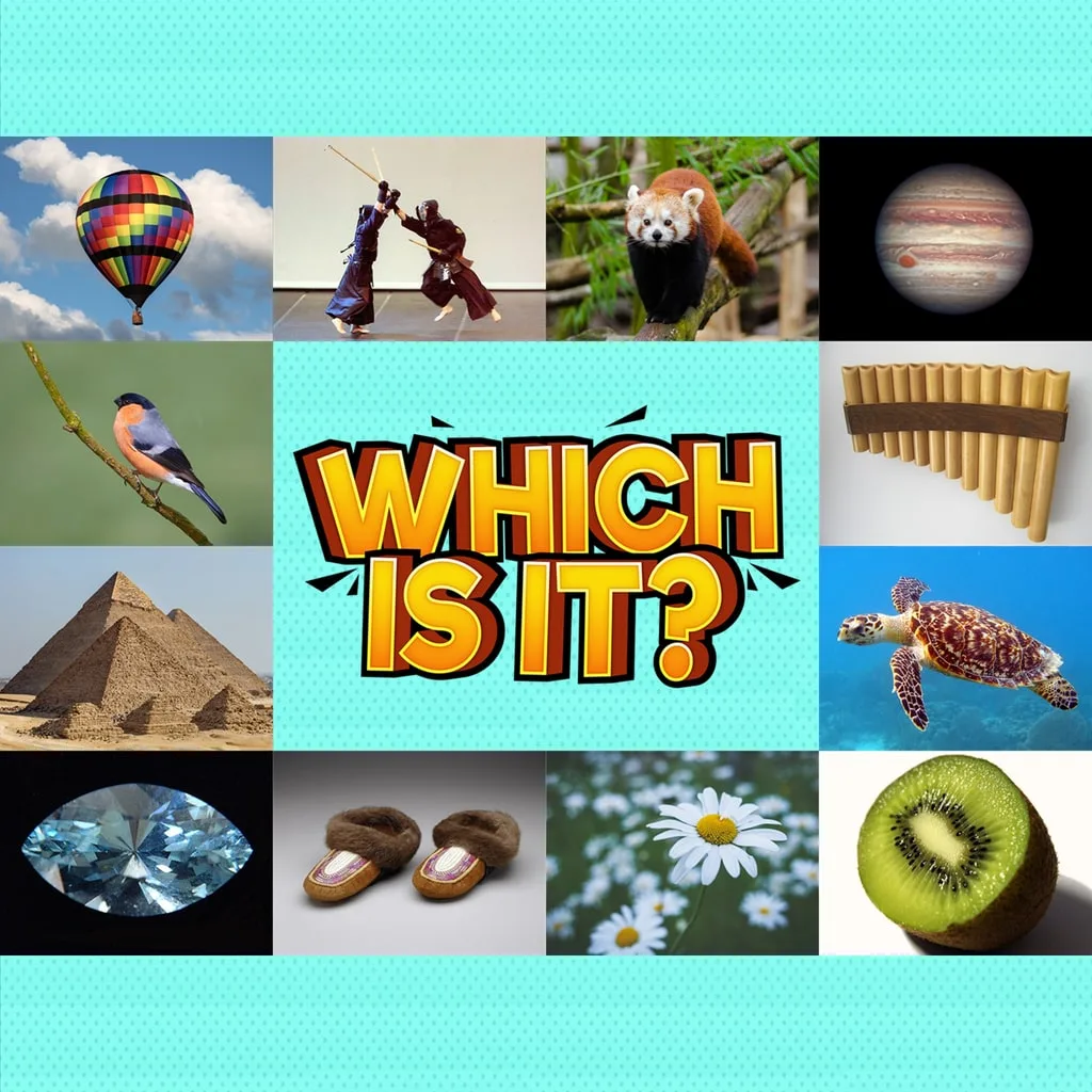 Which Is It? [PS4] - изображение 1