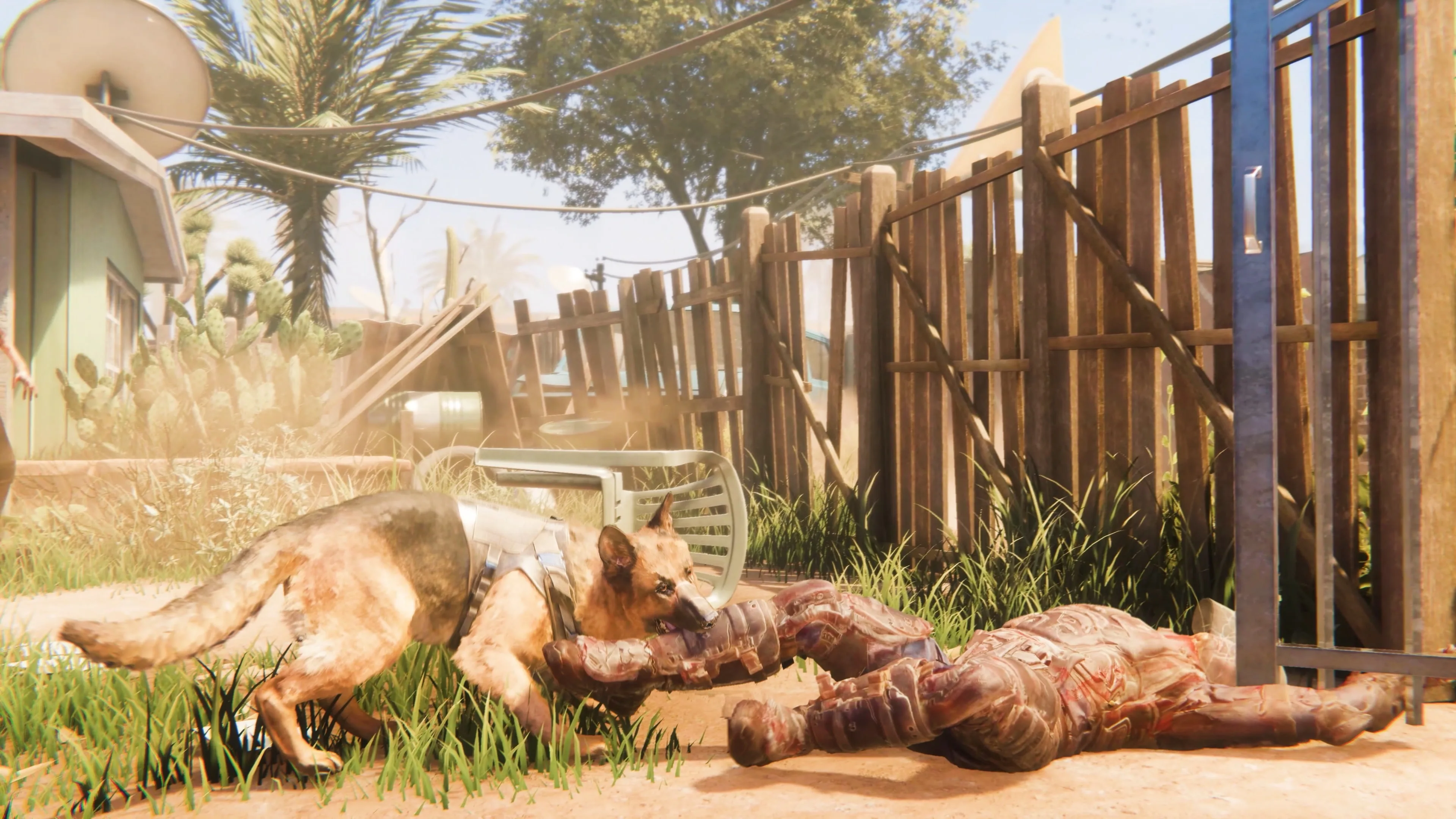 Arizona Sunshine [PS5] - изображение 3