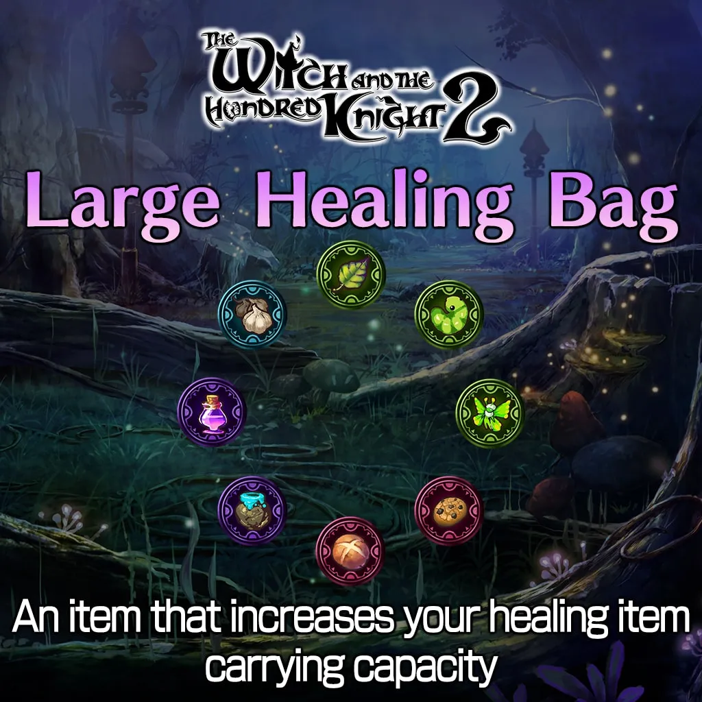 Large Healing Bag - изображение 1