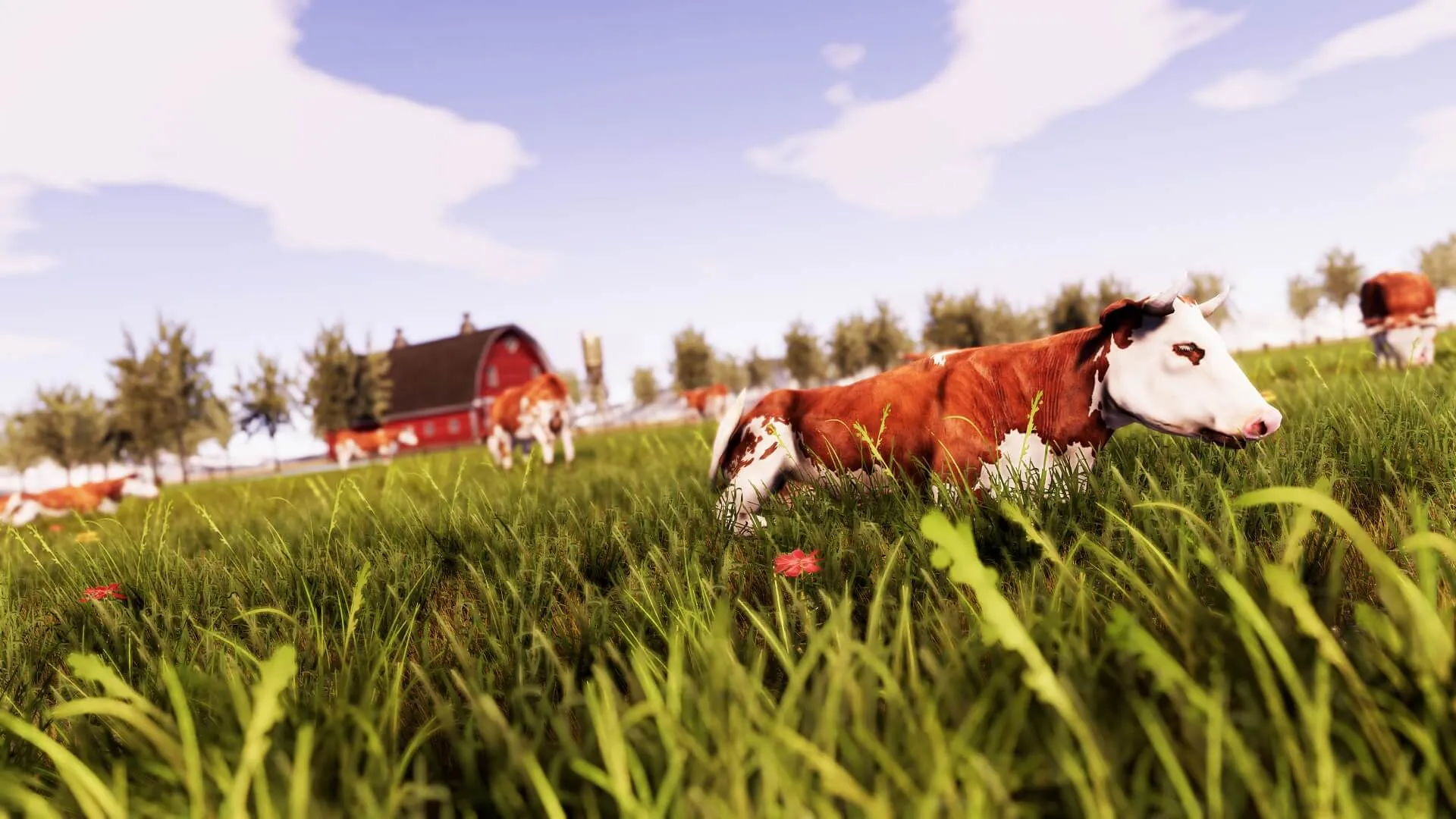 Real Farm [PS4] - изображение 3