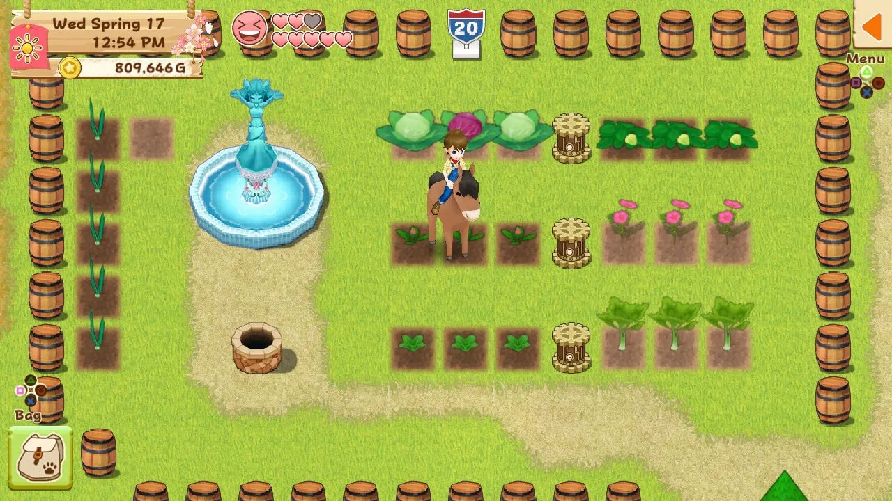 Harvest Moon: Light of Hope Special Edition - DLC 1 [PS4] - изображение 2
