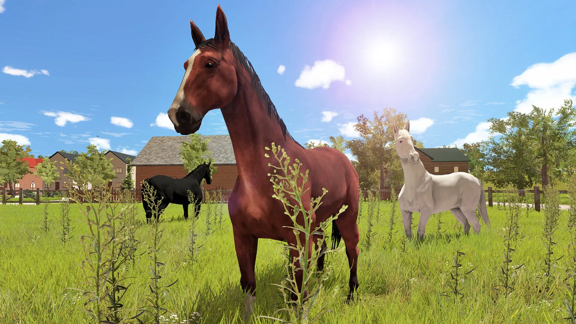 My Little Riding Champion [PS4] - изображение 2