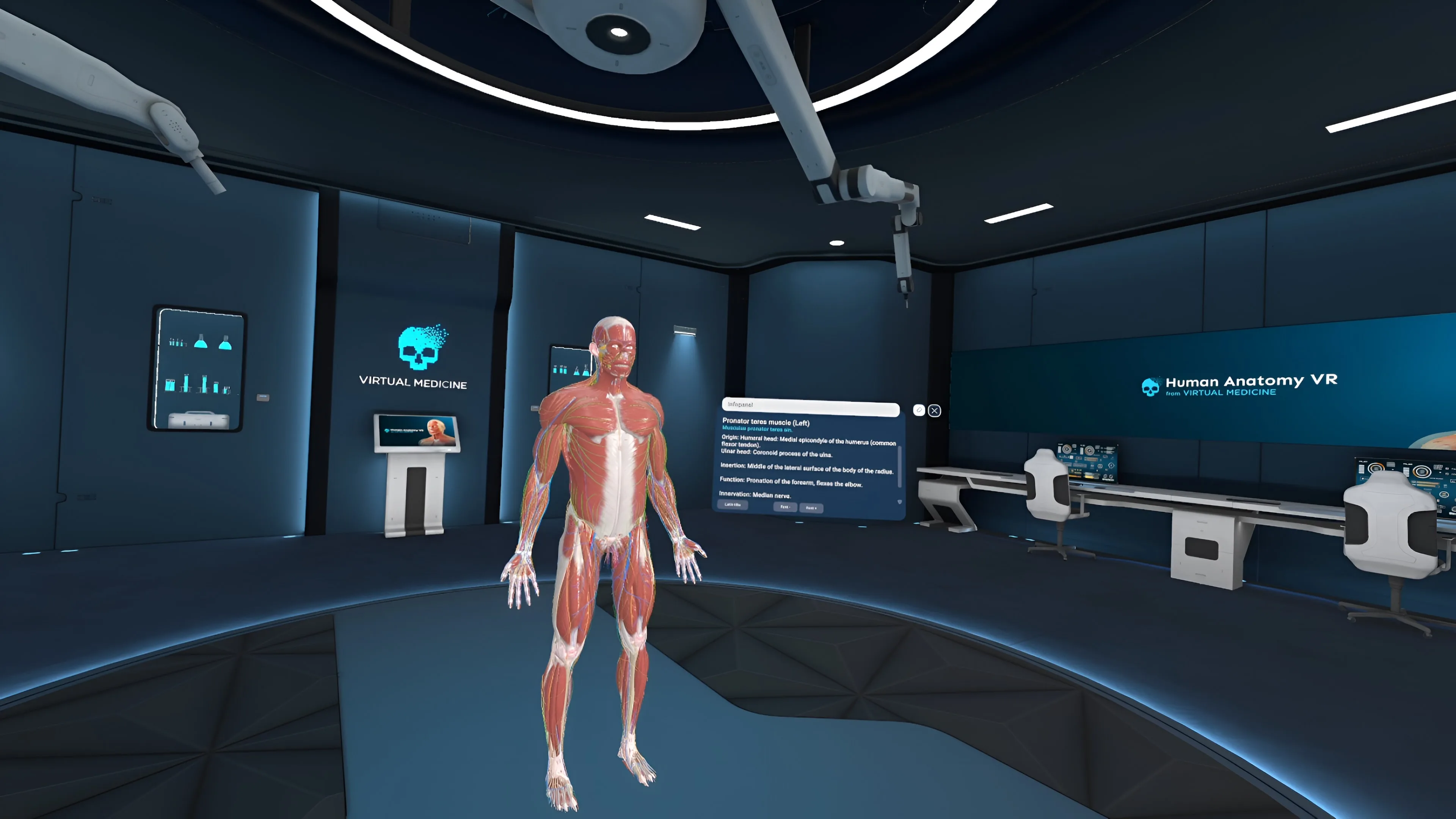 Human Anatomy VR [PS5] - изображение 2