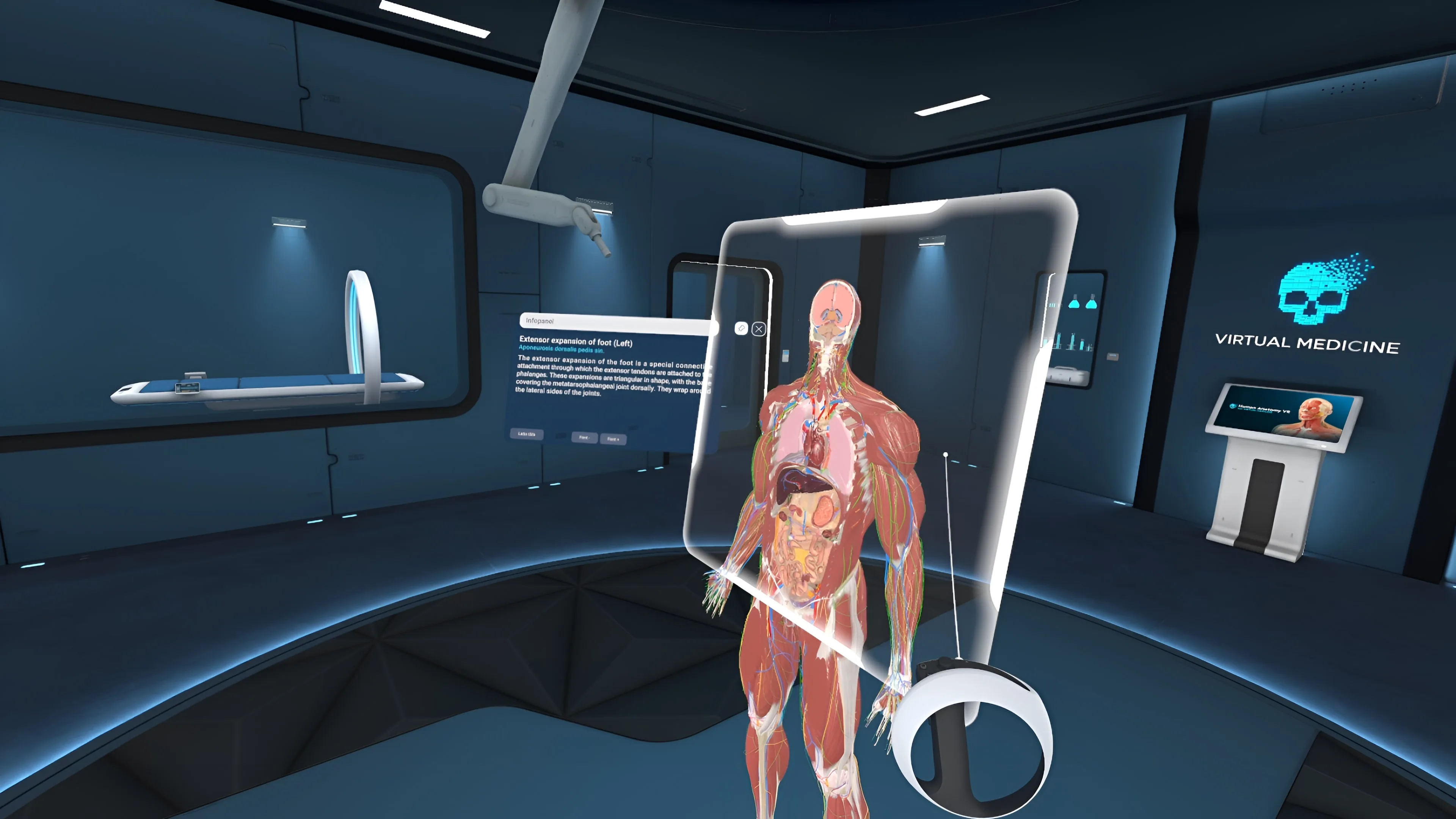 Human Anatomy VR [PS5] - изображение 4
