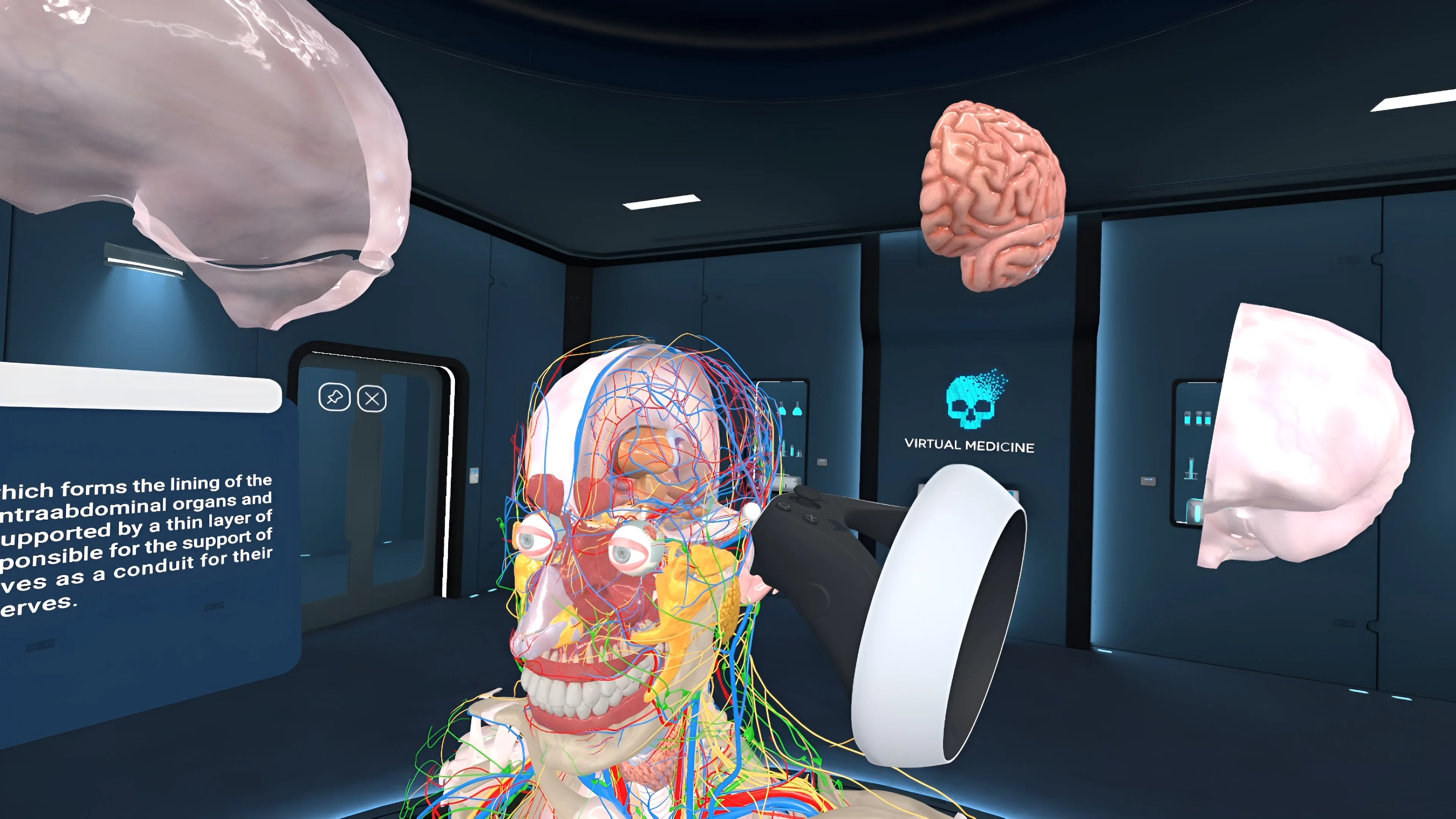 Human Anatomy VR [PS5] - изображение 3