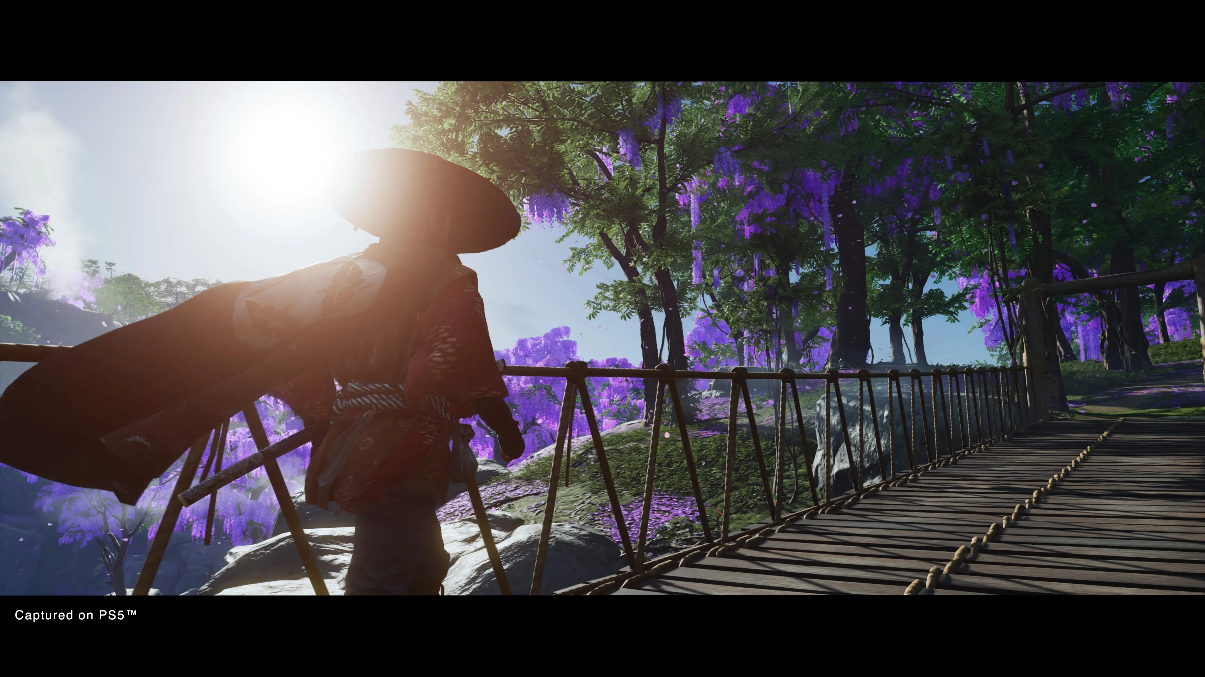 Ghost of Tsushima DIRECTOR’S CUT [PS4] - изображение 2