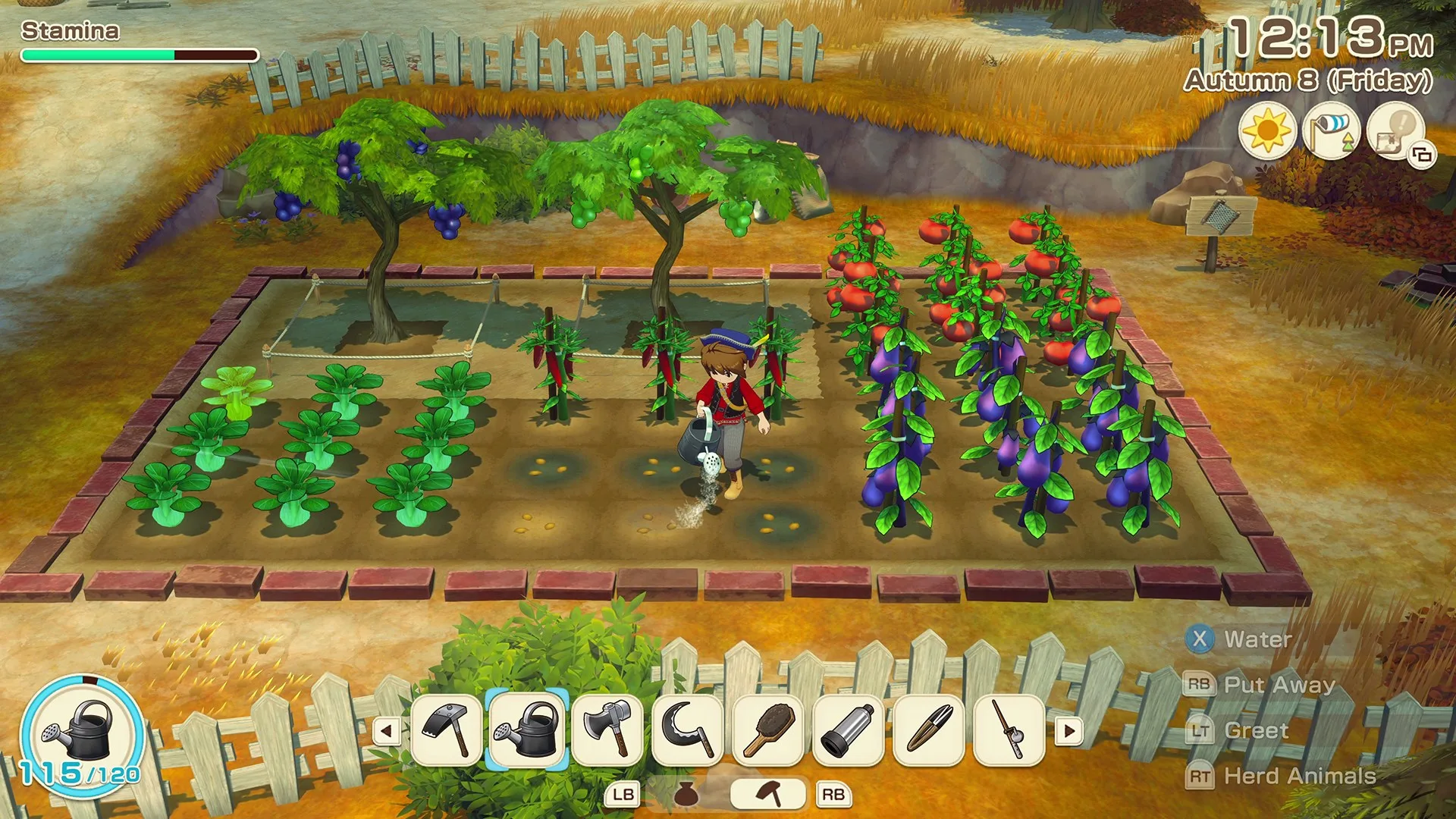 Story of Seasons: Grand Bazaar Super Digital Deluxe [X|S] - изображение 3