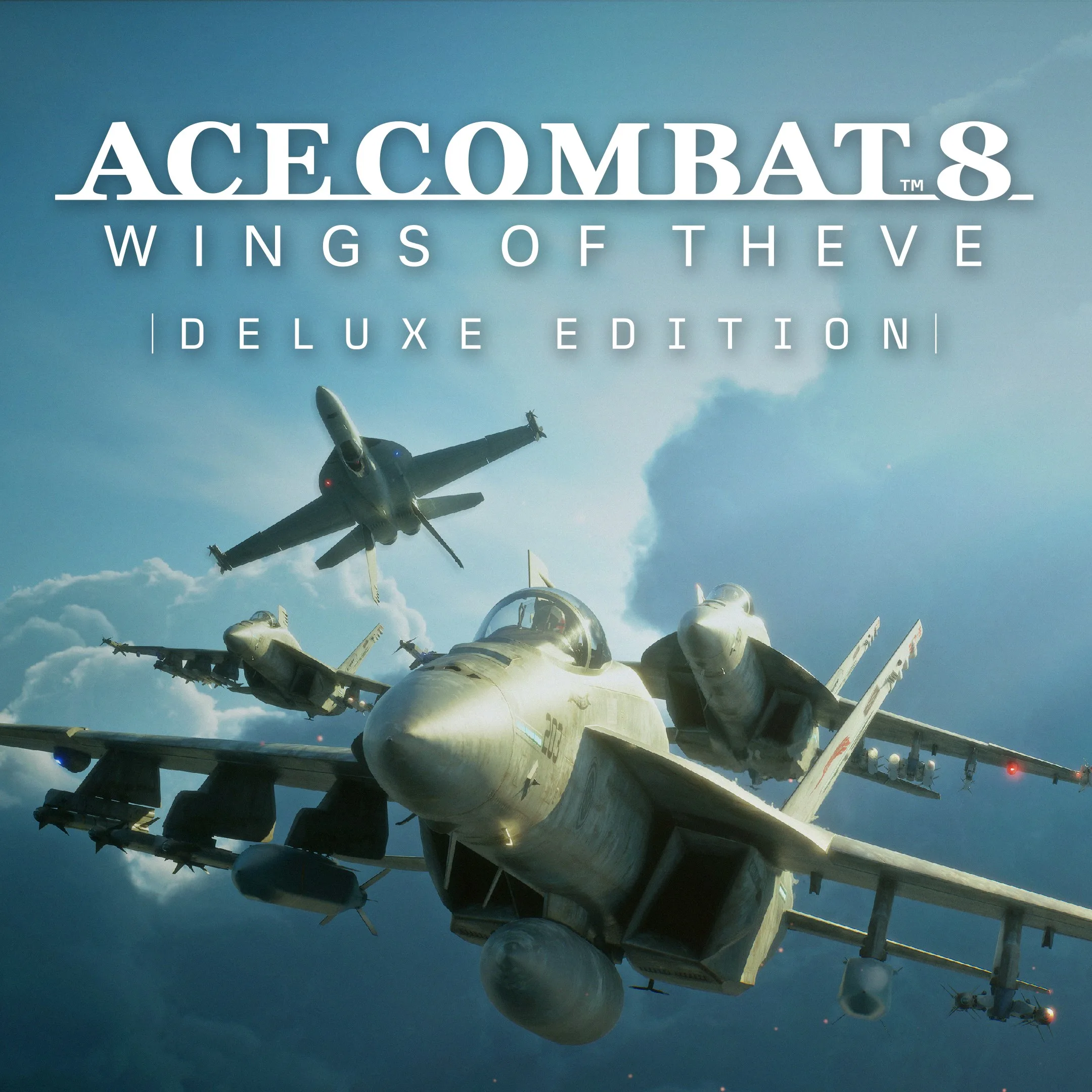 ACE COMBAT 8: WINGS OF THEVE Deluxe Edition Pre-Order [X|S] - изображение 1