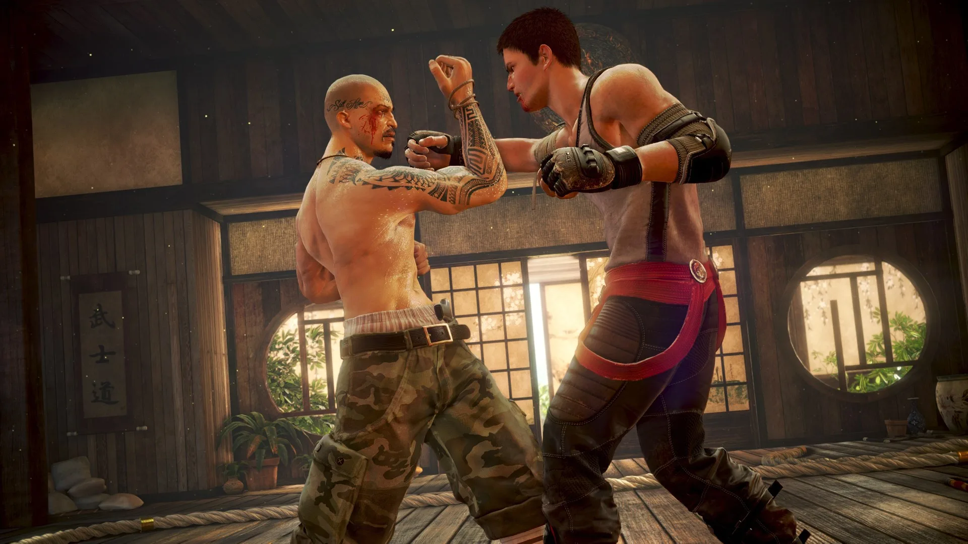 Fighter Within [One] - изображение 4