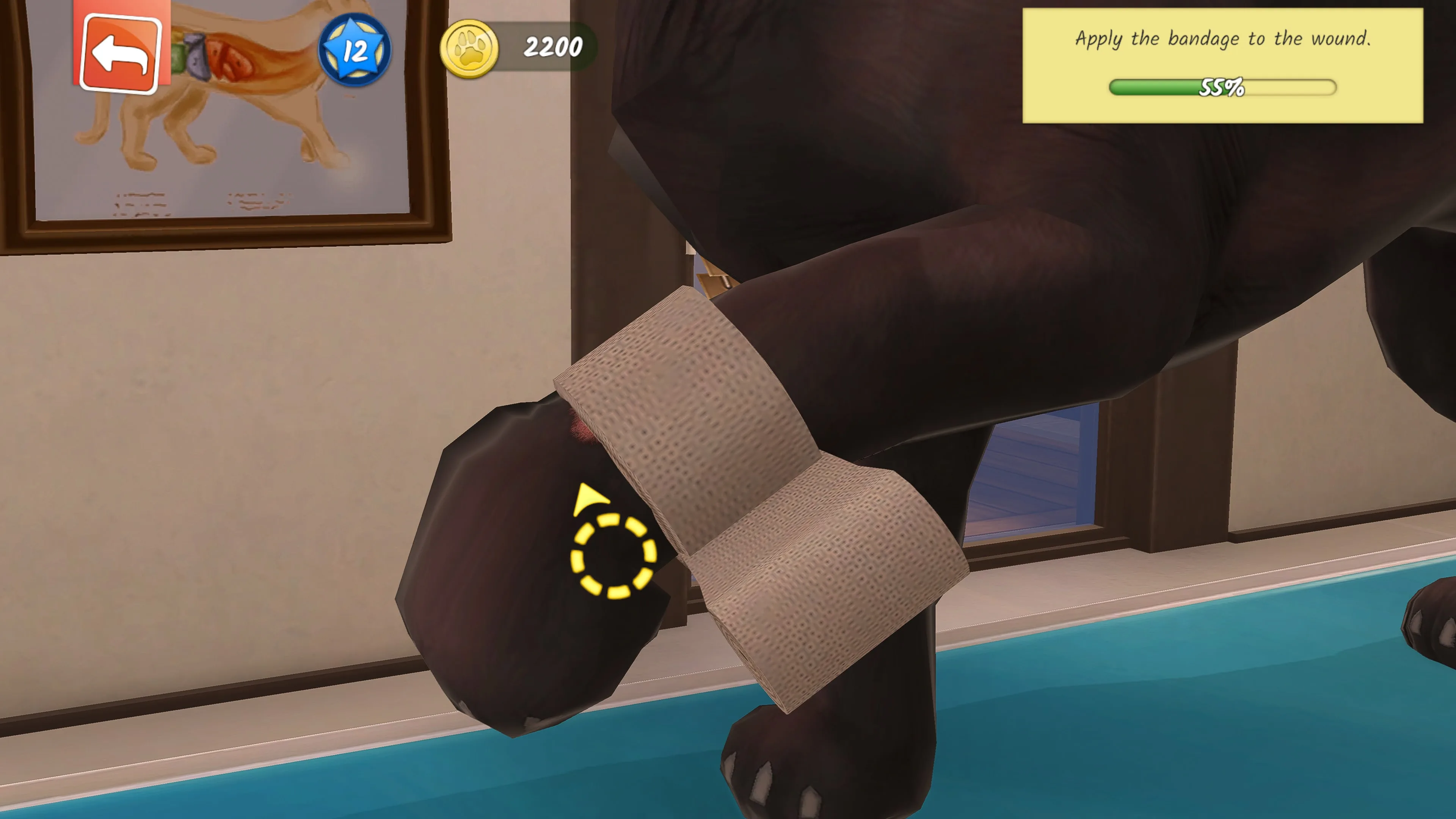 Animal Hospital [PS4,&nbsp;PS5] - изображение 3
