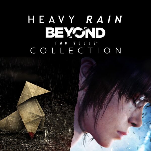 The Heavy Rain & BEYOND: Two Souls Collection [PS4] - изображение 1