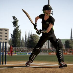 Don Bradman Cricket 17 [PS4] - изображение 2