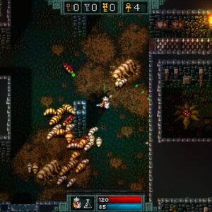 Hammerwatch [PS4] - изображение 2