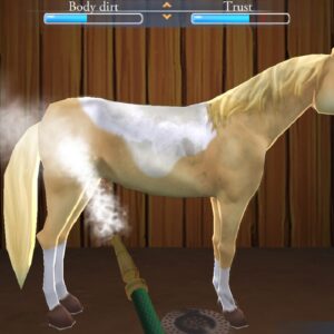 My Riding Stables – Life with Horses [PS4] - изображение 2