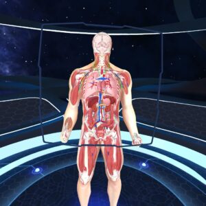 Human Anatomy VR [PS4] - изображение 3