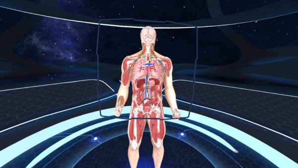 Human Anatomy VR [PS4] - изображение 3
