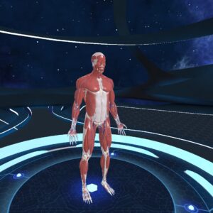 Human Anatomy VR [PS4] - изображение 2
