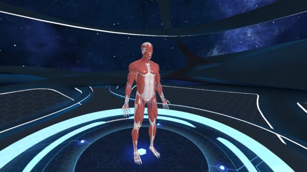 Human Anatomy VR [PS4] - изображение 2