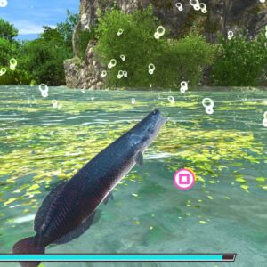 Reel Fishing: Road Trip Adventure [PS4] - изображение 4
