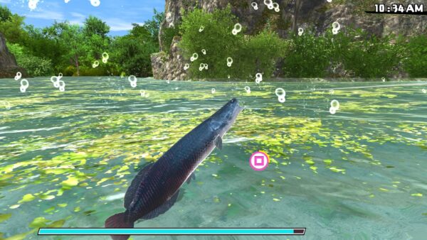 Reel Fishing: Road Trip Adventure [PS4] - изображение 4
