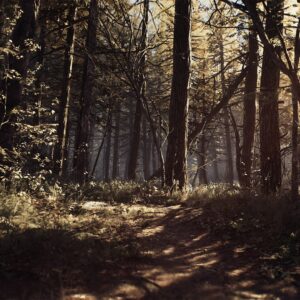 Blair Witch [PS4] - изображение 3