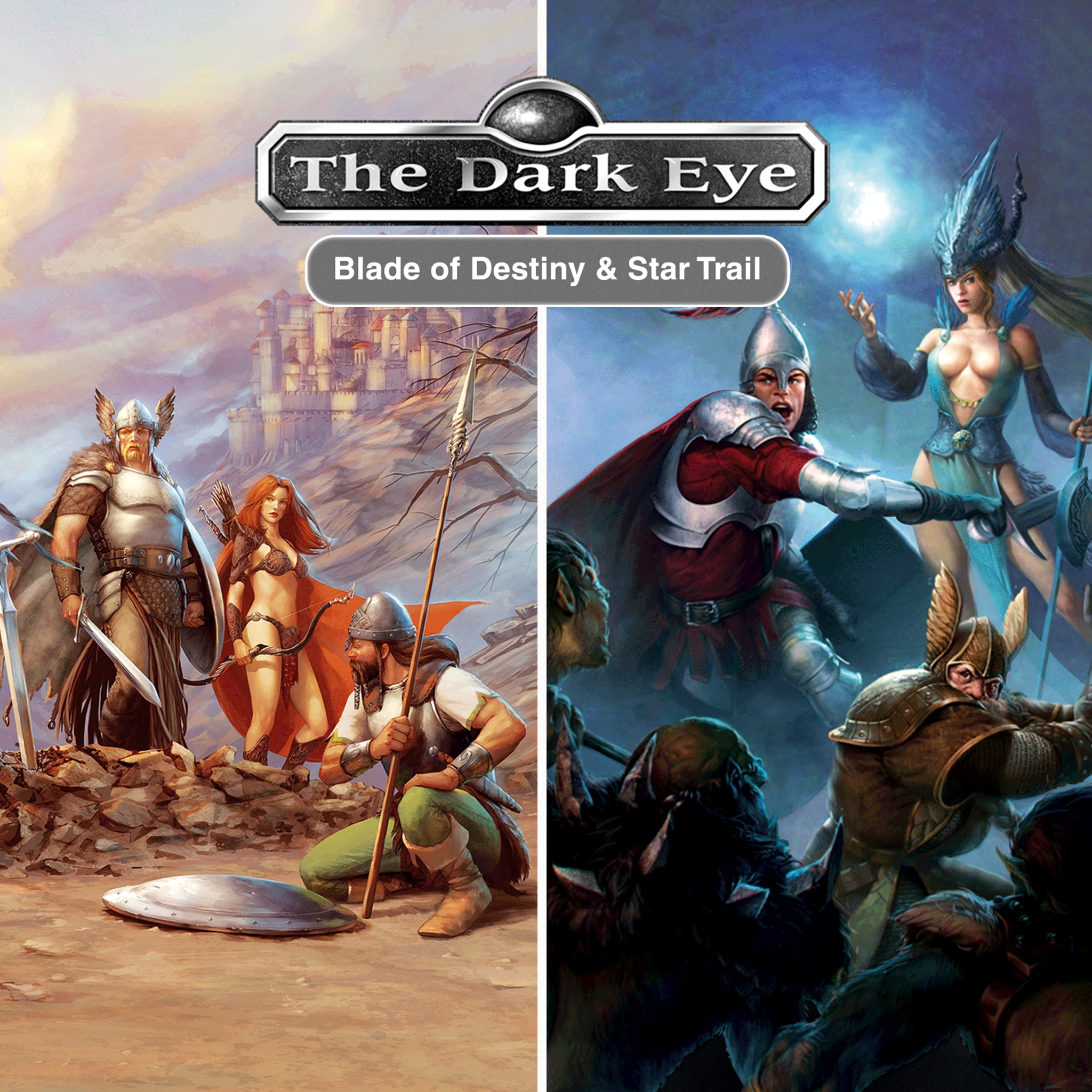 The Dark Eye Bundle [PS4] cover