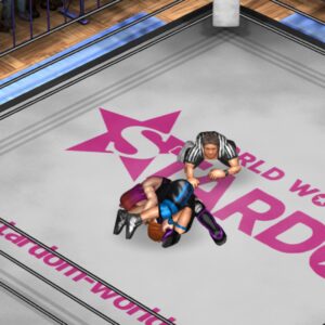 World Wonder Ring Stardom Collaboration Part 2 [PS4] - изображение 2