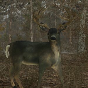 Pro Deer Hunting [PS4] - изображение 2