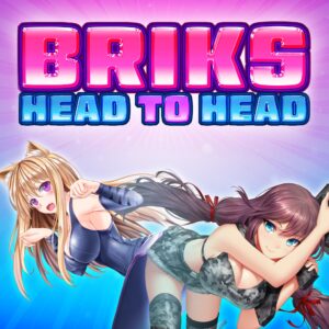 BRIKS HEAD TO HEAD [PS4]