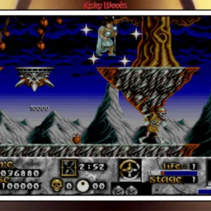 Risky Woods (QUByte Classics) [PS4] - изображение 3