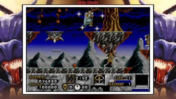 Risky Woods (QUByte Classics) [PS4] - изображение 3