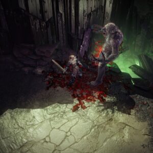 Vikings - Wolves of Midgard [PS4] - изображение 3