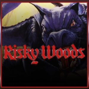 Risky Woods (QUByte Classics) [PS4]