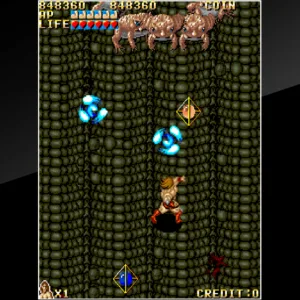 Arcade Archives VANDYKE [PS4] - изображение 3