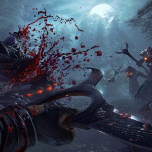 The Shadow Warrior Collection [PS4] - изображение 4