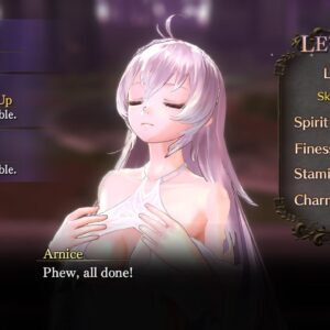 Nights of Azure [PS4] - изображение 4